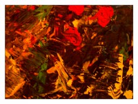 /album/exposition/a36-1-1-jpg/