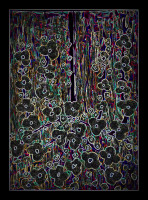 /album/exposition/60580623-947550392263468-5697589931384242176-n-jpg/